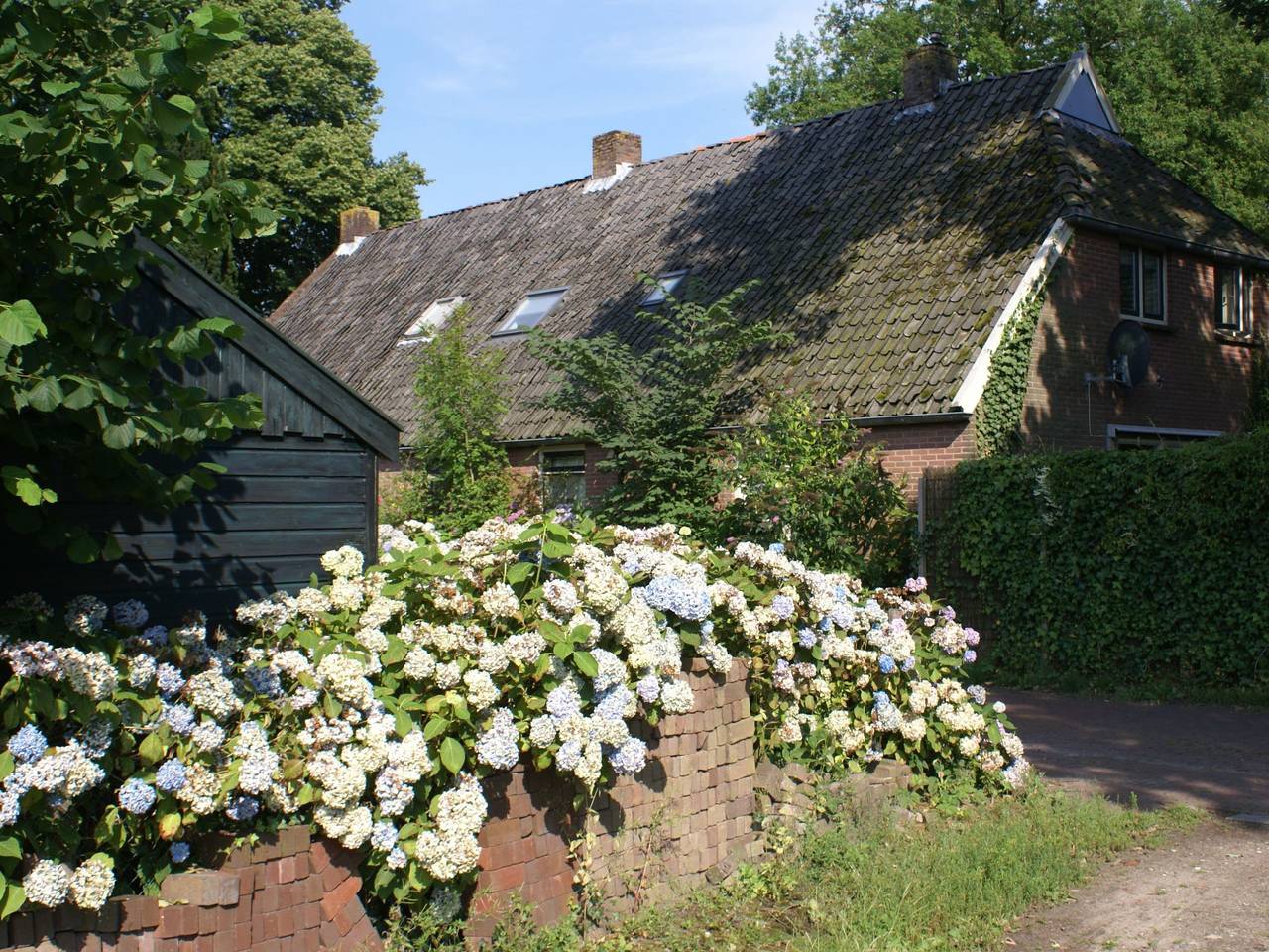 Geschmackvoll eingerichtetes Bauernhaus aus dem 19. in Nationaal Park Dwingelderveld