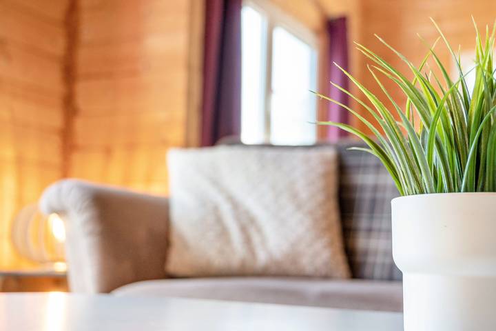 Ferienhaus für 4 Personen, mit Garten im Oldenburger Münsterland - 4