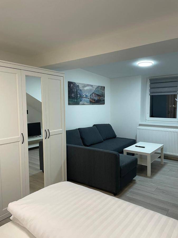 Ferienwohnung für 5 Personen, mit Ausblick, mit Haustier in Cheb - 4