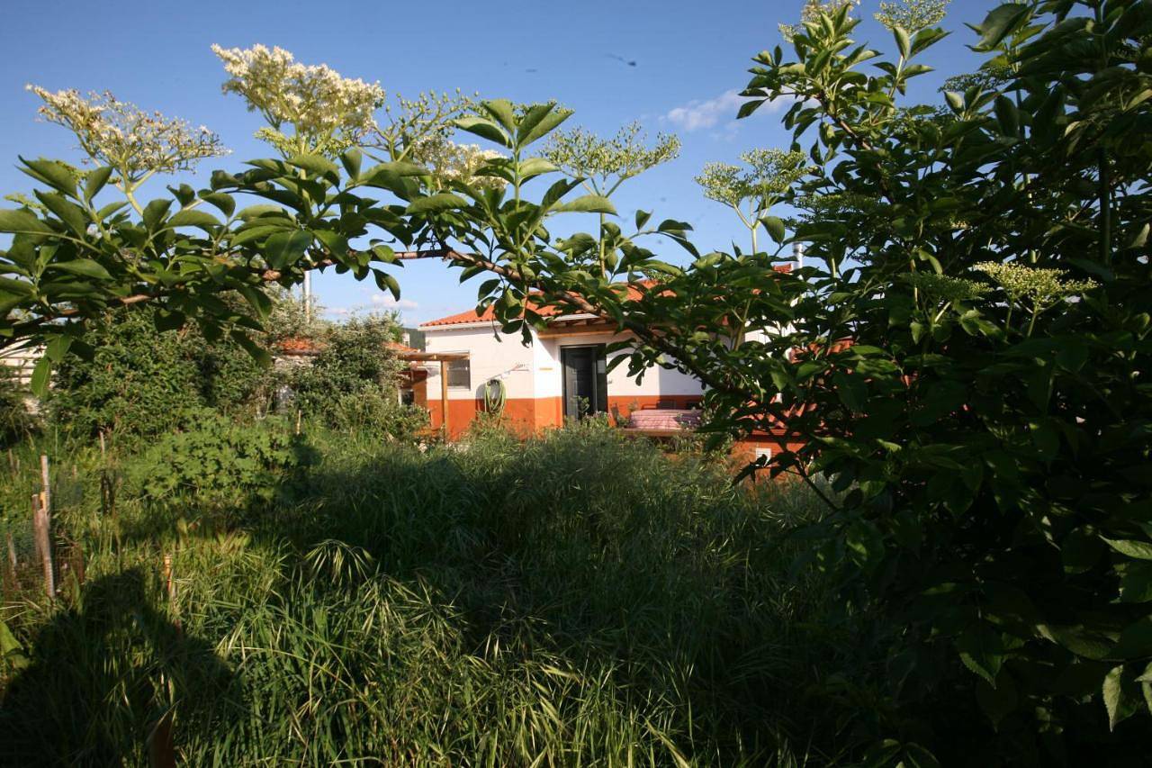 Apartamento inteiro, Horto do Amor in Tomar, Distrito de Santarém