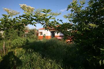 Gîte pour 2 personnes, avec piscine ainsi que jardin et vue à Tomar