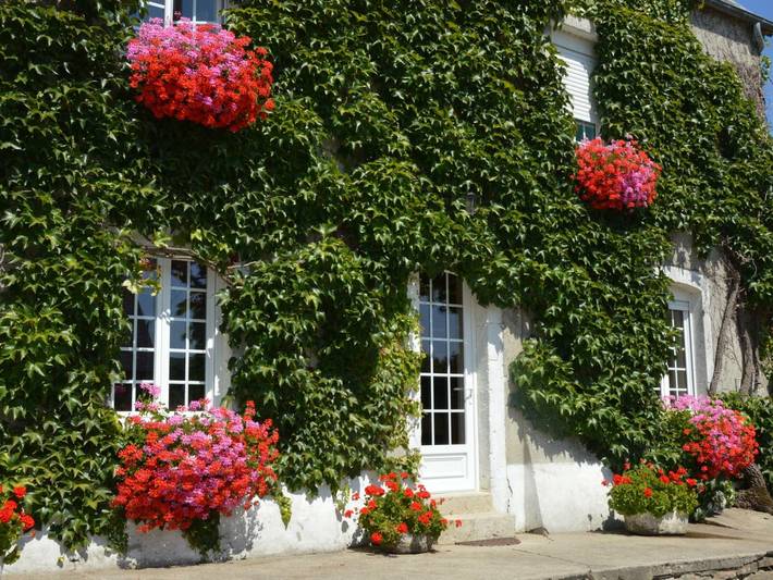 Maison de vacances pour 4 personnes, avec jardin à Doville