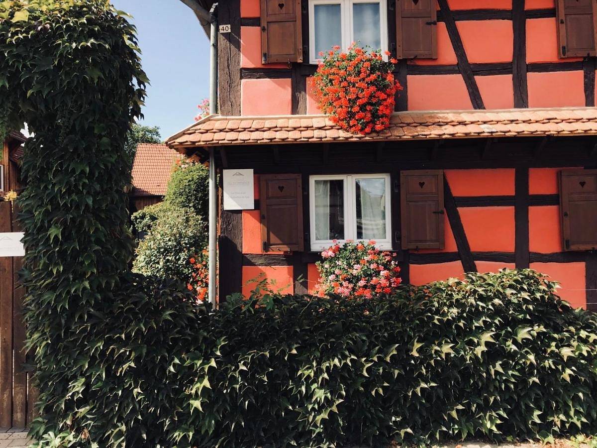 Five-Bedroom House - "La Maison" in Bolsenheim, Région de Sélestat-Erstein