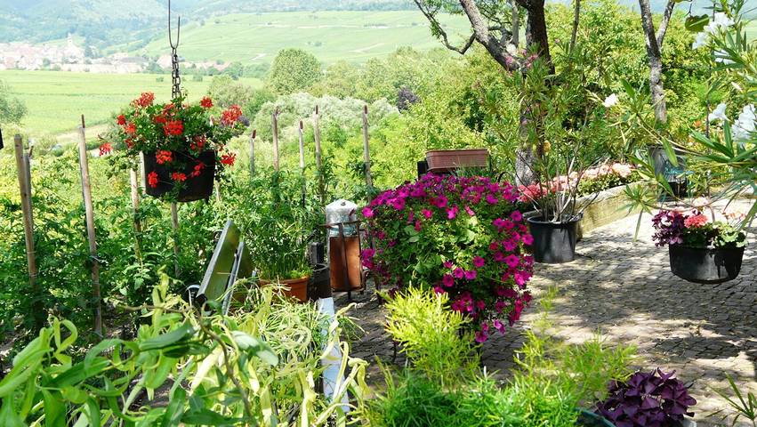 Chambre d’hôte pour 2 personnes, avec jardin, animaux acceptés dans Grand Est - 3