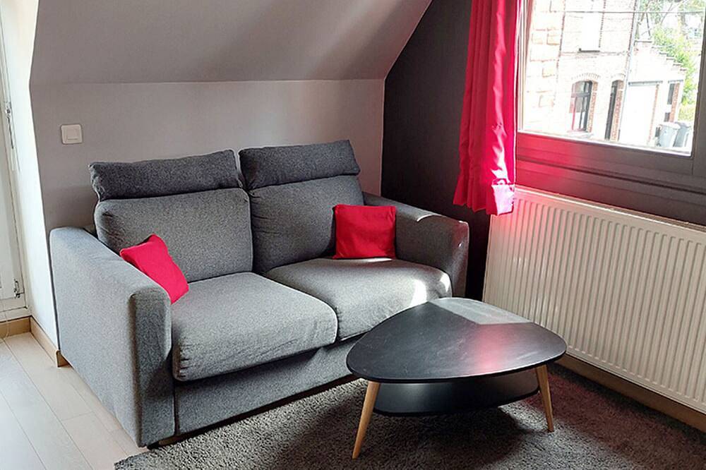 Apartamento entero, Apartamento wifi, mascotas permitidas, céntrico - 4 pers. in Villeneuve-d'Ascq, Lille region