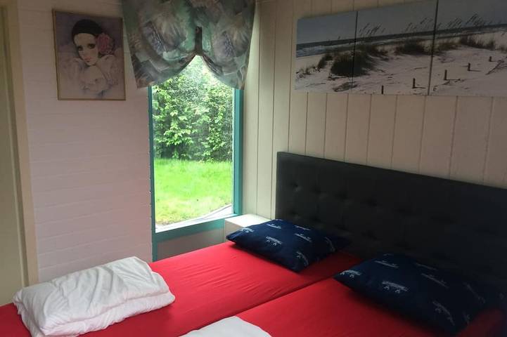 Ferienhaus für 5 Personen, mit Sauna und Garten sowie Terrasse und Pool in Dirkshorn - 4