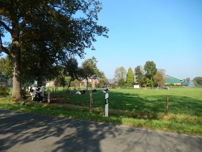 Ferienhaus für 6 Personen, mit Terrasse und Garten, kinderfreundlich im Ruhrgebiet - 2