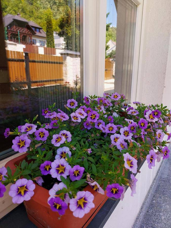 Biały Dom Kazimierski in Kazimierz Dolny, Województwo lubelskie