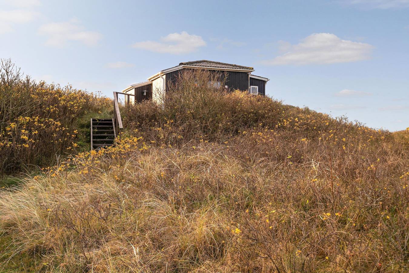 Fc133 in Nørre Nebel, Holmsland Klit