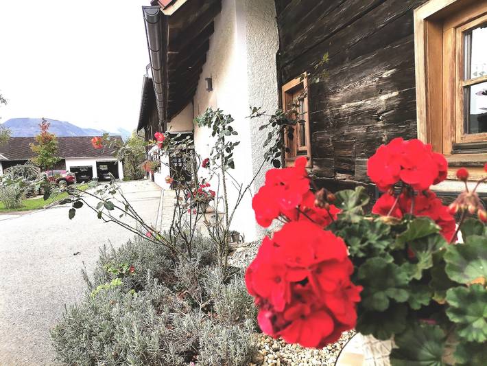 Ferienhaus für 6 Personen, mit Haustier in der Oststeiermark - 2