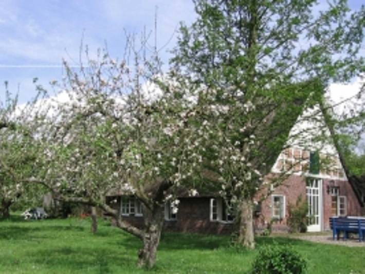 Ferienhaus für 6 Personen, mit Terrasse und Garten