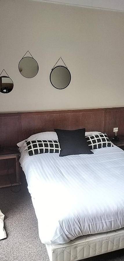 Hôtel pour 3 personnes, avec vue et jardin, animaux acceptés à Olivet - 3