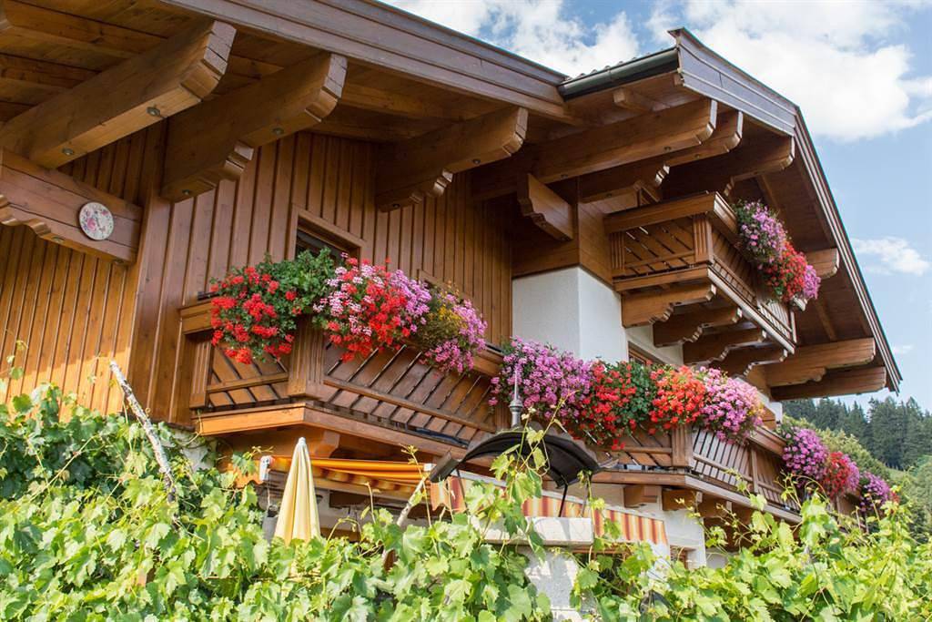 Geheel vakantieappartement, App/1 slaapkamer/douche, wc in Leogang, Saalbach-Hinterglemm