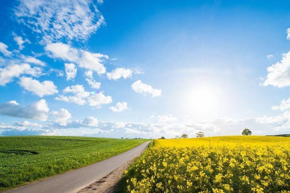 Ganze Wohnung, Ferienwohnung Ingrid in Langballig, Schleswig-Flensburg