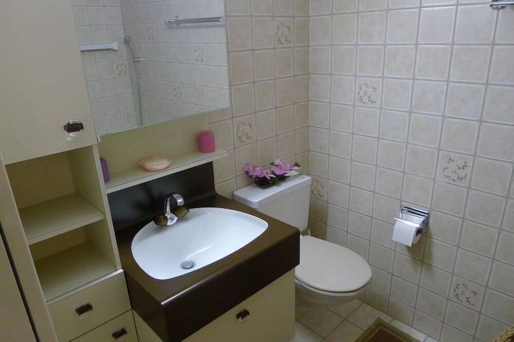 Ganze Wohnung, Ferienwohnung Orion in Leukerbad, Leukerbad & Umgebung