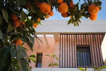 Villa for 8 Guests in Annakhil, Marrakech, Picture 2