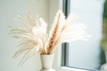 Ferienhaus für 6 Personen in Kieler Förde, Laboe, Bild 4