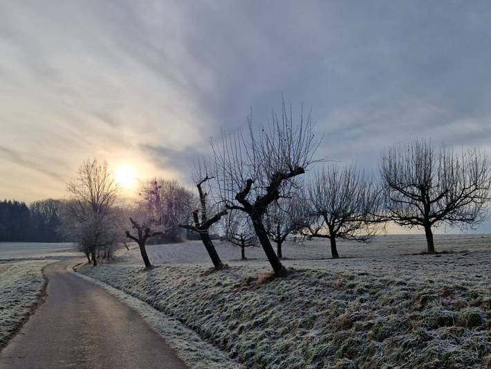 Ferienhaus für 5 Personen, mit Garten und Ausblick, mit Haustier in Hessen - 2