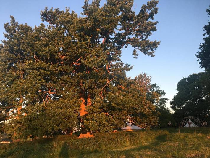 Tente pour 4 personnes, avec jardin ainsi que vue et terrasse en Pyrénées-Atlantiques - 4