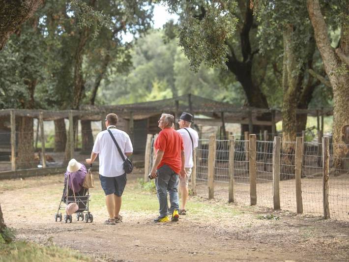 Location de vacances pour 2 personnes, avec jardin et terrasse à Pietracorbara - 3