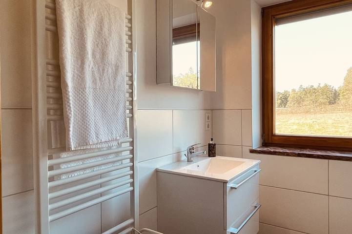 Ganze Wohnung, Mein.Gästehaus - Fewo 1 - ca. 45qm mit großer Sonnenterrasse in Haundorf, Fränkisches Seenland