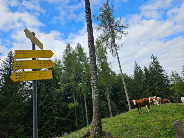 Apartamento vacacional entero, Zirbenplatzerl - Chiemgau Karte - Ferienwohnung in Inzell, Alpes Bávaros