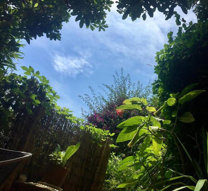 Chambre d’hôte pour 2 personnes, avec jardin et vue à Nice - 3