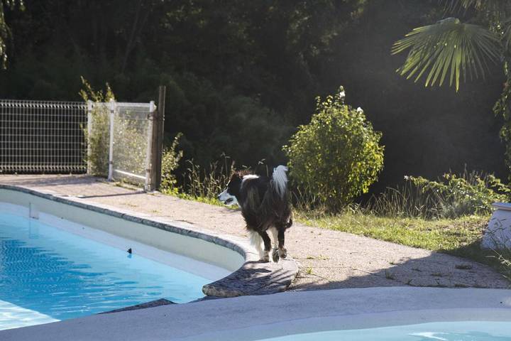 Location de vacances pour 2 personnes, avec terrasse et vue ainsi que piscine et jardin, animaux acceptés à Sadirac - 4