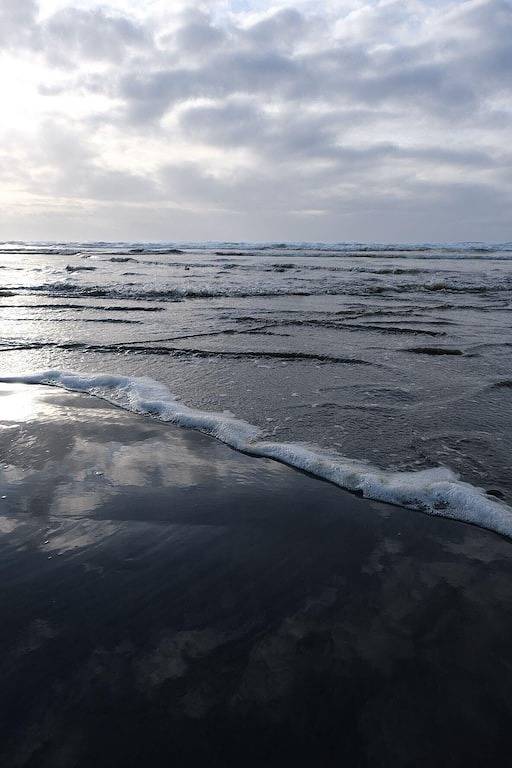 Ocean Shores cozy chalet located within steps from the beach in Ocean Shores Beach, Ocean Shores