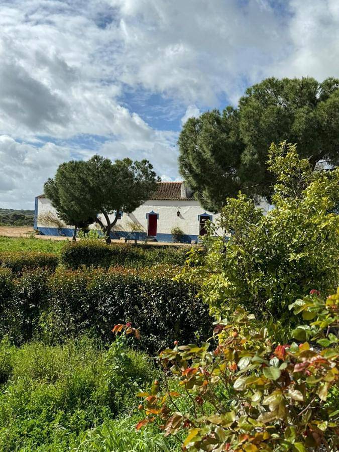 Five-Bedroom House in Monforte, Distrito de Portalegre