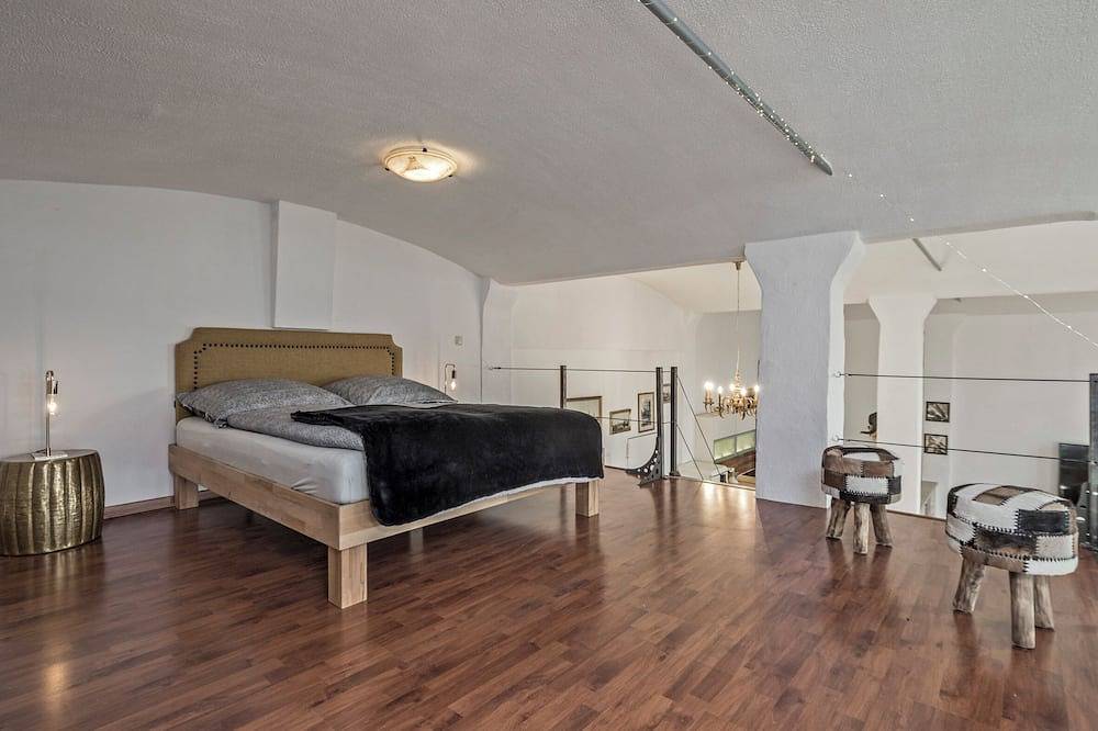 Ganze Wohnung, Loft im Denkmal N°1 in Heidenau, Elbsandsteingebirge