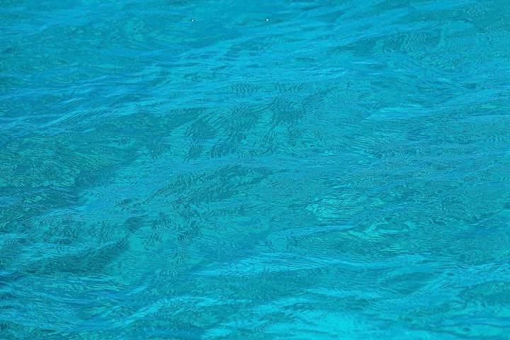 Bateau pour 48 personnes, avec vue, animaux acceptés dans Píso Livádi - 2