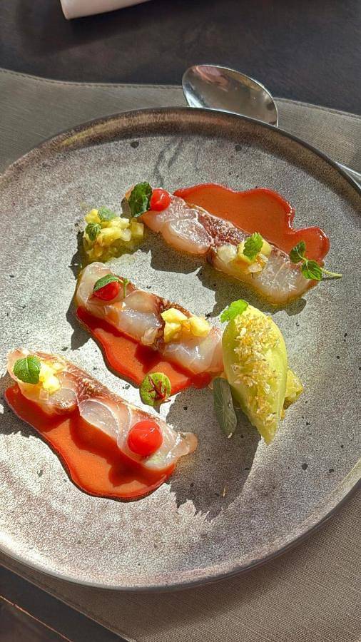 Hôtel pour 2 personnes, avec jardin et piscine ainsi que jacuzzi et sauna, animaux acceptés à Castries - 4