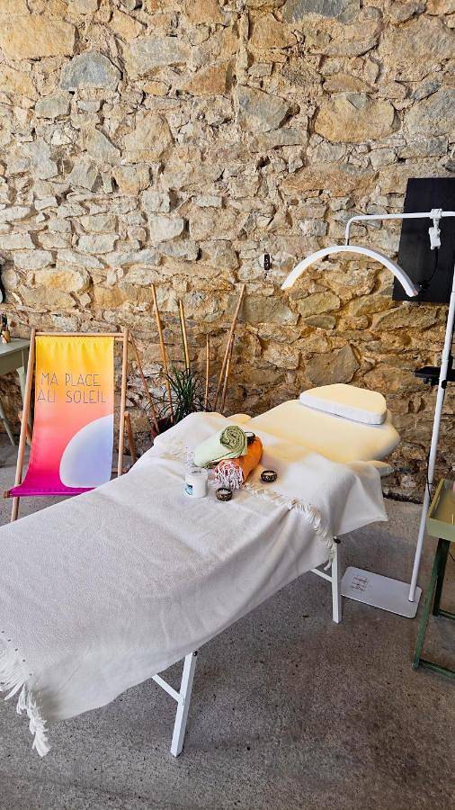 Location de vacances pour 10 personnes, avec vue ainsi que piscine et jardin, animaux acceptés à Sainte-Valière - 3