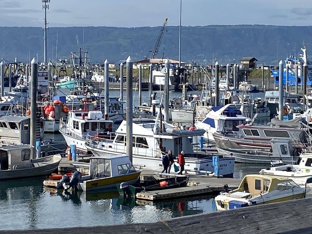 Bayview Dream in Homer, Kenai Peninsula