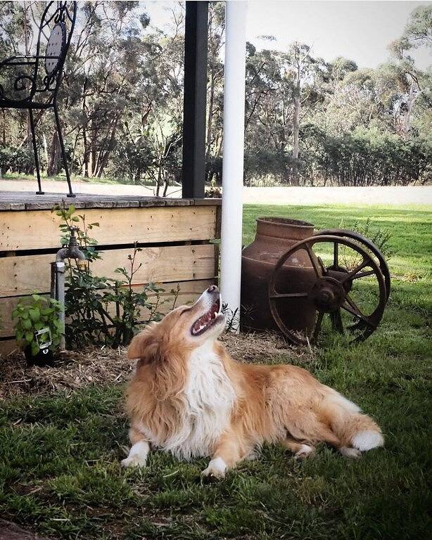 Dreamy Farmhouse in a Breathtaking Location in Shire of Strathbogie