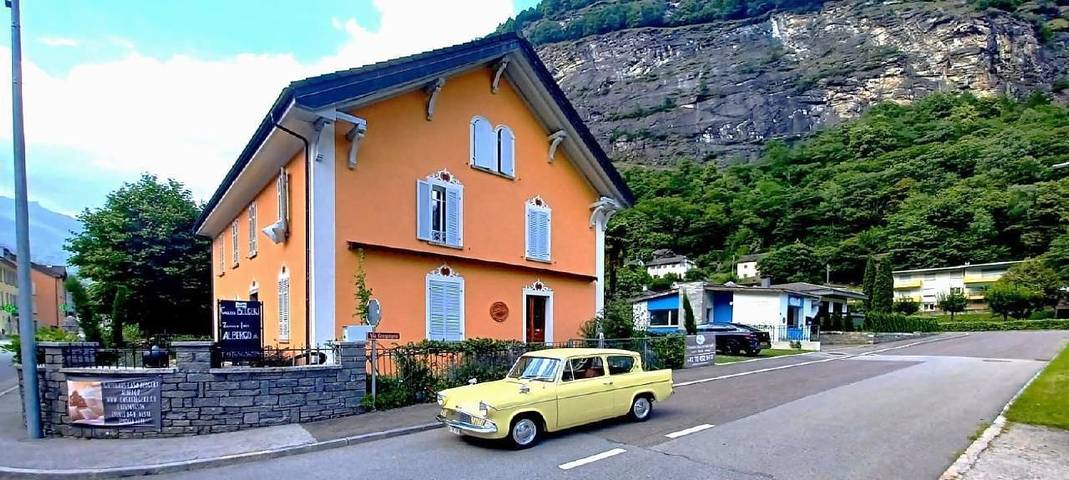 Holiday home for 14 people, with terrace and hot tub as well as garden, with pets - 1