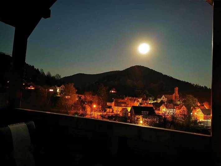 Ferienwohnung für 2 Personen, mit Ausblick und Garten sowie Seeblick, mit Haustier im Pfälzer Wald - 3