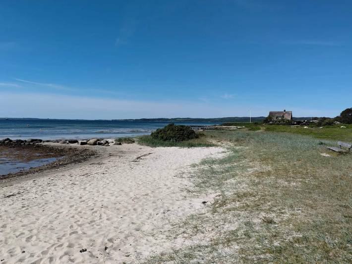 Ferienhaus für 12 Personen, mit Terrasse und Sauna in Lyngsbæk Strand - 4