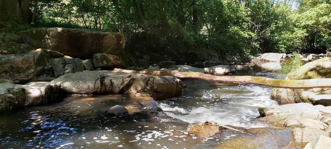 Location de vacances pour 15 personnes, avec terrasse et jacuzzi à Bully - 3