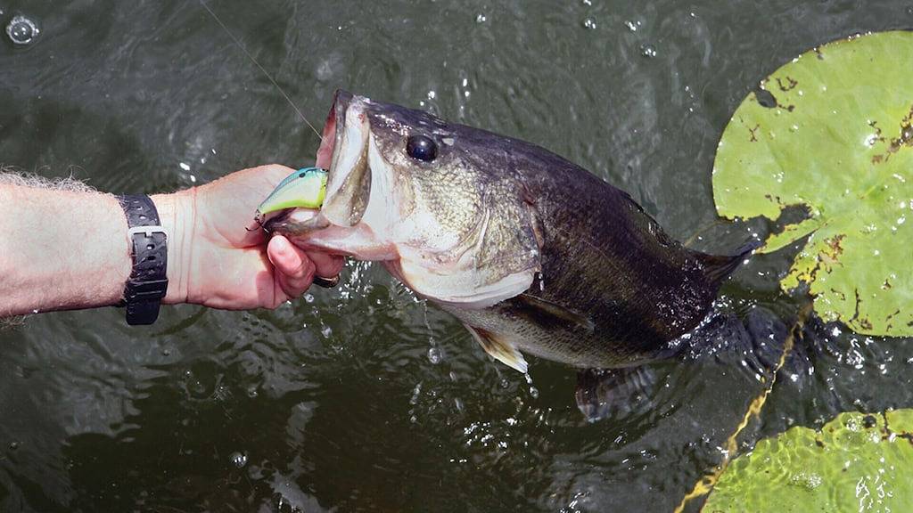 Neue Unterkunft Am See. Bleiben Sie 3 Nächte Und Erhalten Sie Eine Kostenlose Nacht 10 / 15-5 / 15. in Canadice, Ontario County