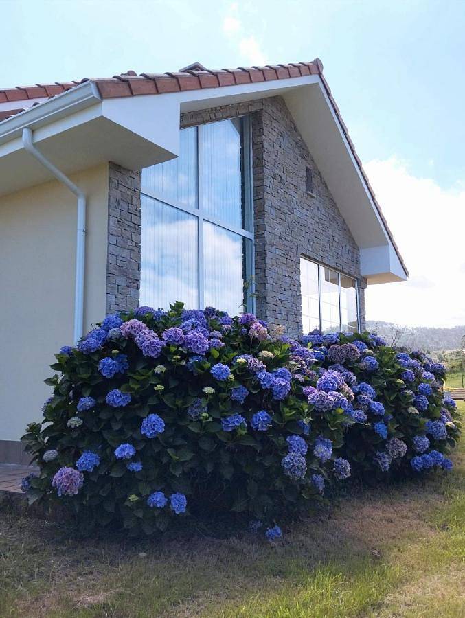 Casa rural para 7 personas, con jardín y vistas en Cudillero - 3