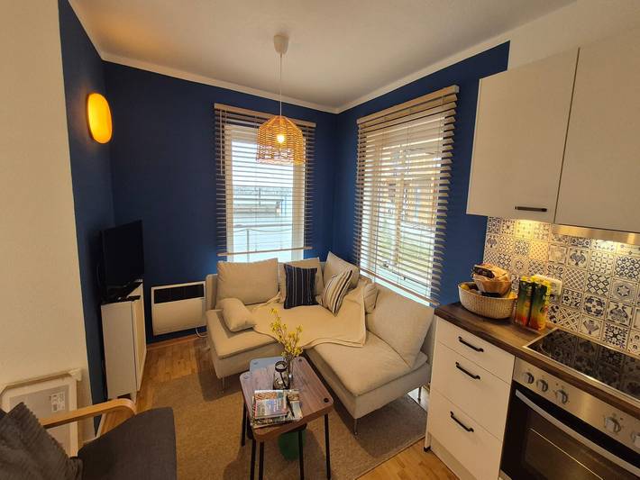 Péniche pour 5 personnes, avec balcon, adapté aux familles à Barth - 4