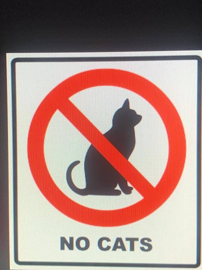 Location de vacances pour 8 personnes, avec jardin à Montaigut-le-Blanc - 3