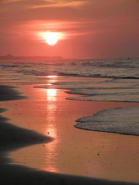 Holiday rental for 5 people, with terrace and pool, with pets in Hilton Head Island