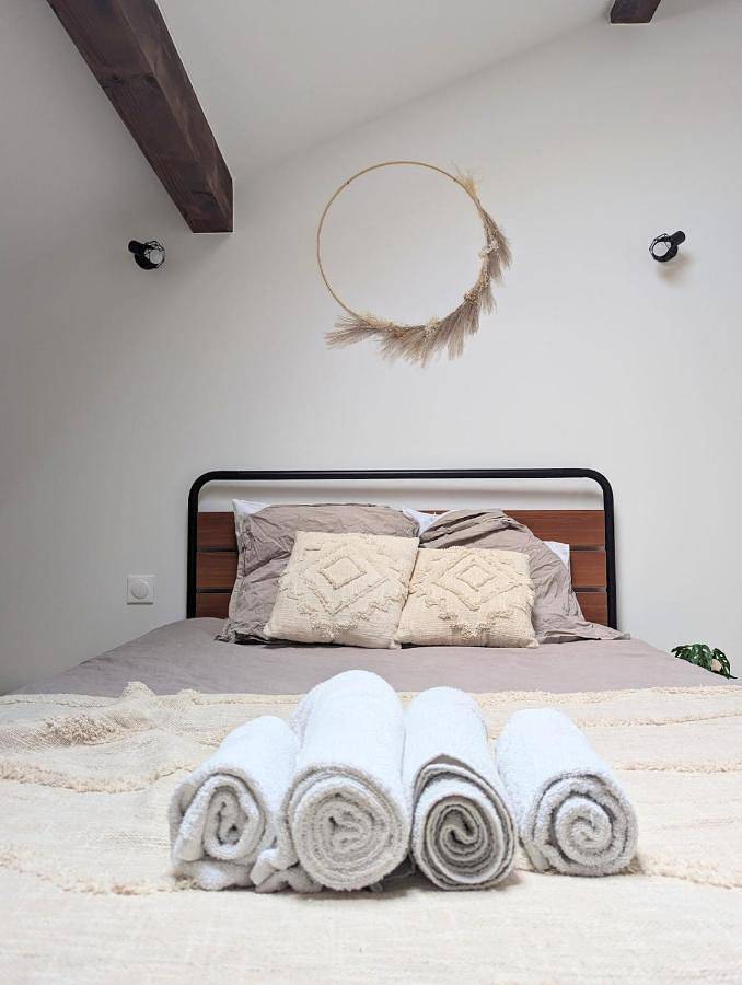 Gîte pour 8 personnes, avec balcon à Romans-sur-Isère - 4
