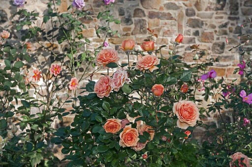 Trentham Lake Villas - Seeblick in Trentham, Hepburn Shire