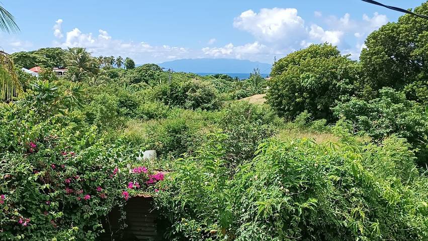 Gîte pour 2 personnes, avec jardin et piscine dans Marie-Galante - 2
