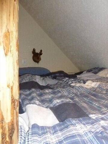 Glamping for 8 Guests in Uinta Wasatch Cache National Forest, Utah, Picture 1