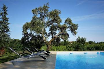 Cottage for 6 People in Caillac, Lot, Photo 2